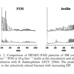 Comparison of HPAEC-PAD patterns of SM containing 10 g liter1 FOS or 10 g liter1 inulin at the inoculation and after 48 h of incubation with B thermophilum ATCC 25866