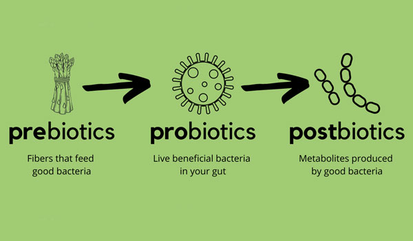 postbiotic
